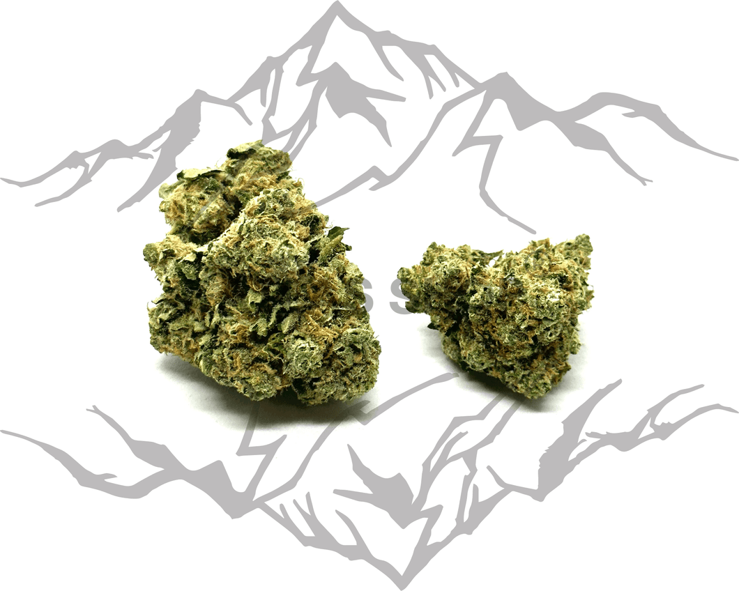 White Widow 3g-min INDOOR 23%💥NOUVEAUTÉ Mai 2024💥