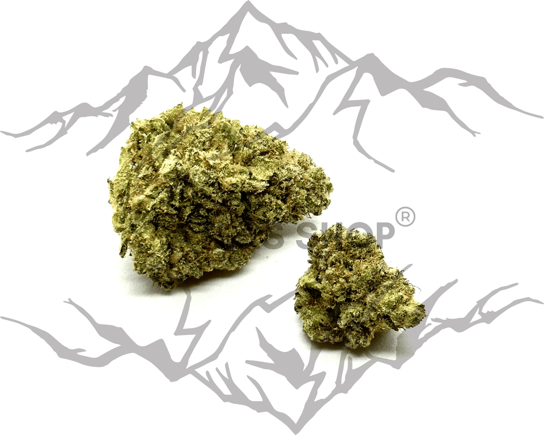 Chocolope INDOOR U.S 🇺🇸 -40% 3g minimum