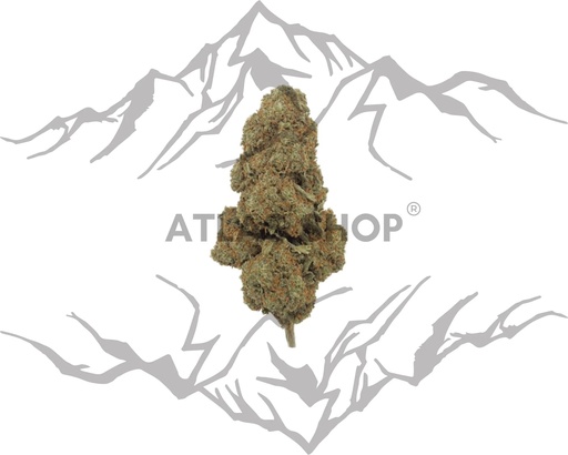 🔥 BlackBerry Kush 🫐🧁💨