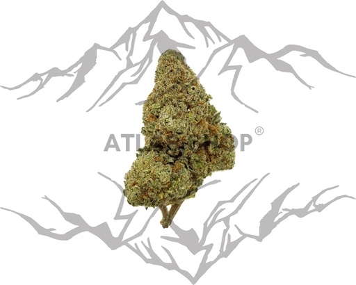 🔥 Forbidden Fruits 🍇💨