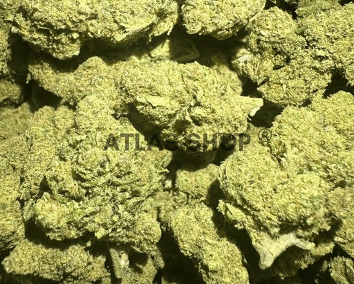 🔥 Strawberry Haze 🍓🍬💨