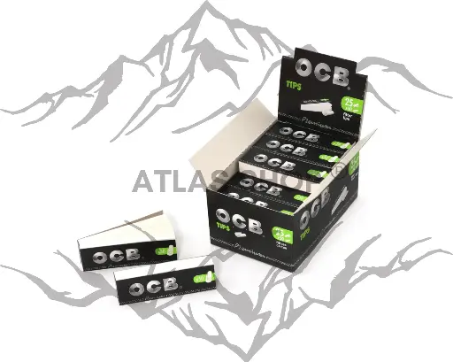 PACKUNGEN MIT 50 FILTERN IN OCB-KARTON